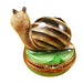 Escargot Snail Limoges Box back