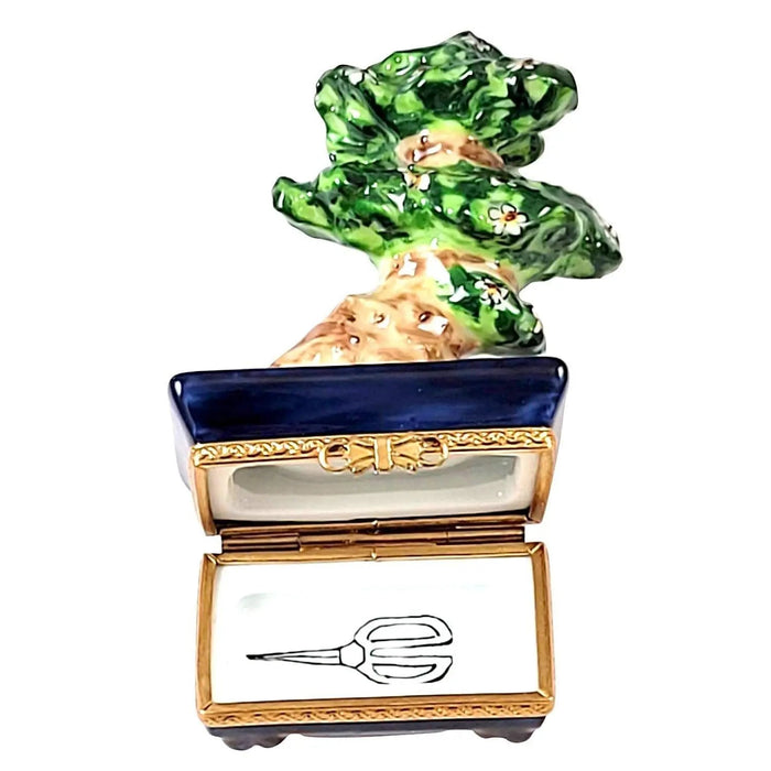 bonsai tree in a box Japanese Bonsai Tree Limoges Box – Handcrafted French Porcelain