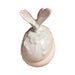 Another view of the white butterfly Limoges box, unhinged