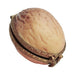 Limoges Boutique presents the Acorn, a genuine Limoges box painted by hand in France