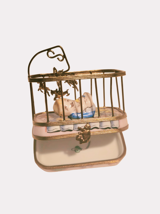 Baby in Playpen Rochard