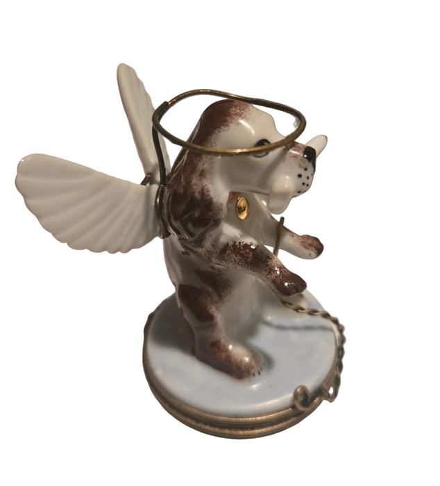 Angelic Dog Box for Pet Lovers