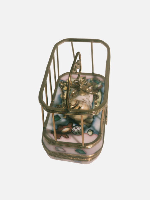 Baby in Playpen Rochard
