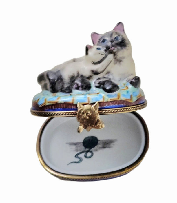 Siamese Cat Treasure for Cat Lovers