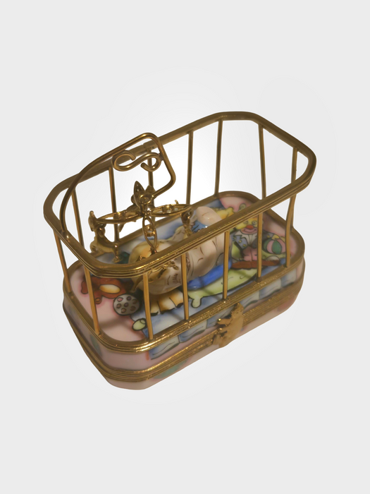 Baby in Playpen Rochard