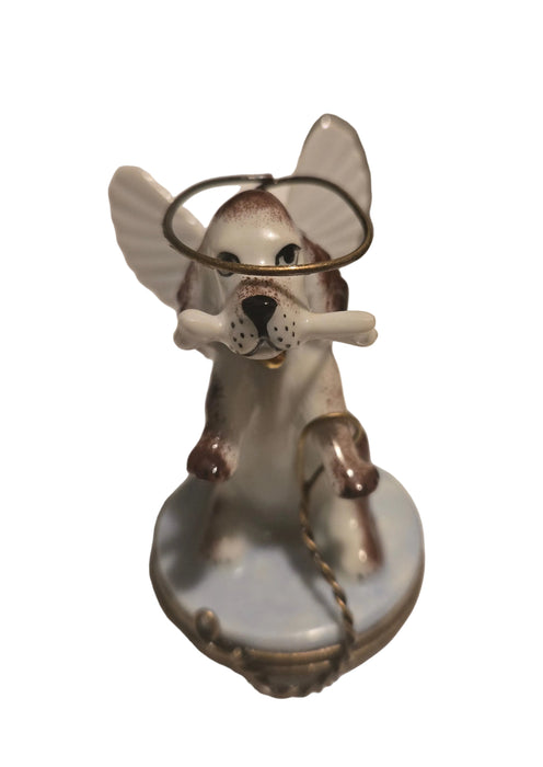 Angelic Dog Box for Pet Lovers