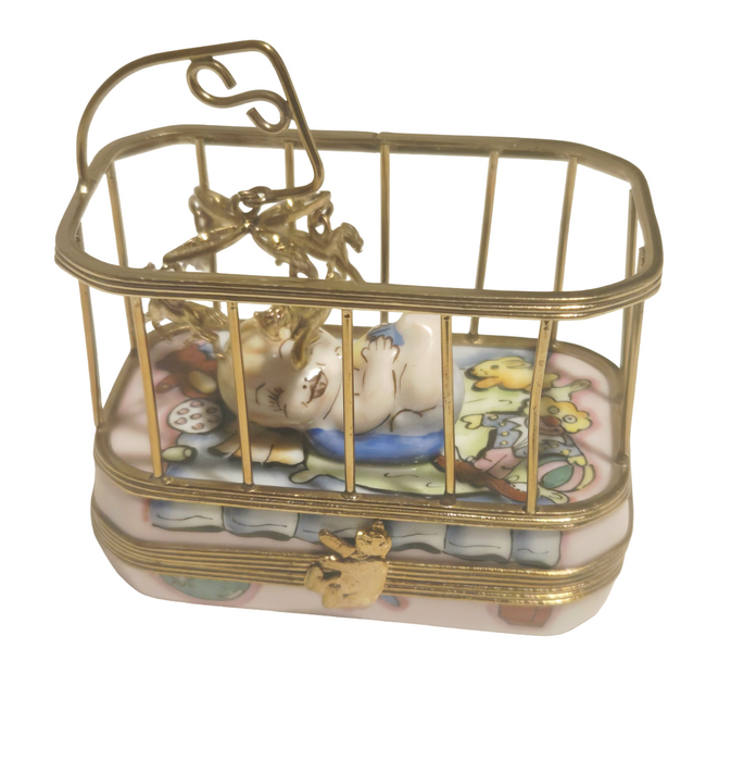 Baby in Playpen Rochard
