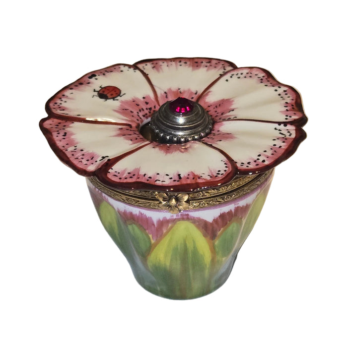 White Pink Flower w Perfume Authentic Limoges Box