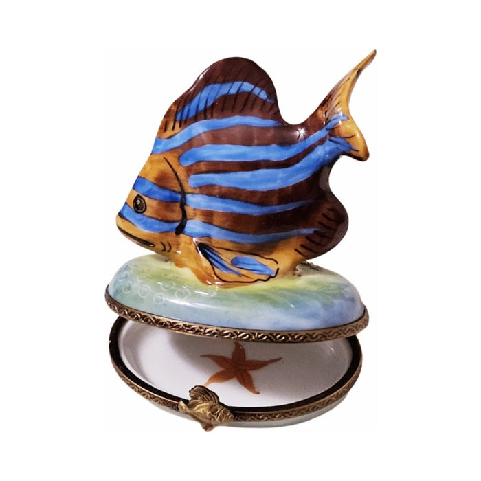 Fine art lovers will admire this Brown Fish Blue Stripe Limoges box