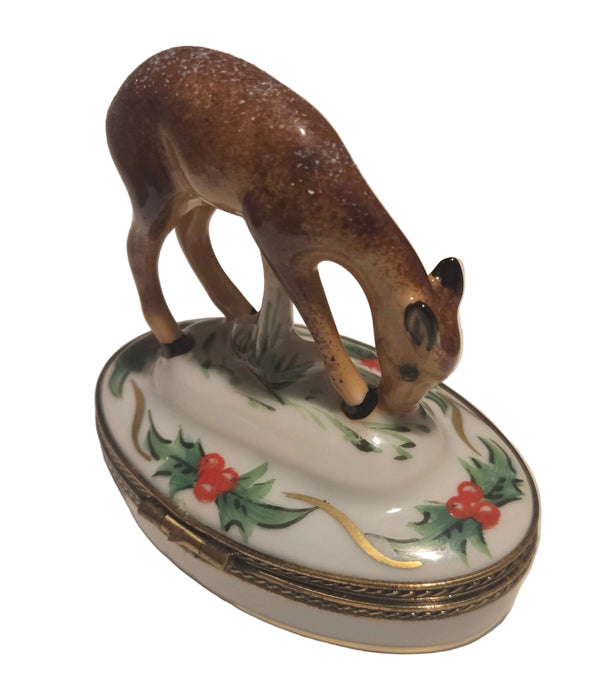 Christmas Deer in Snow
