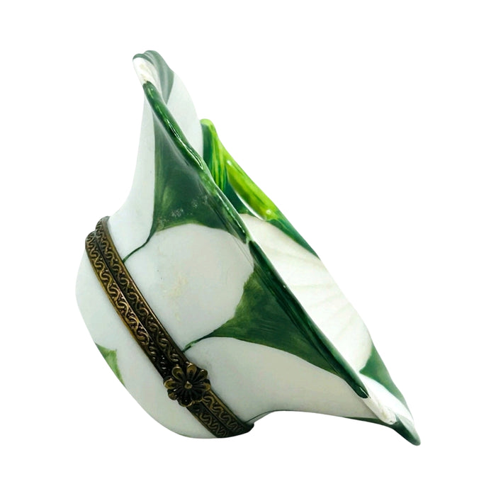 Lily on Lily Pad Rochard