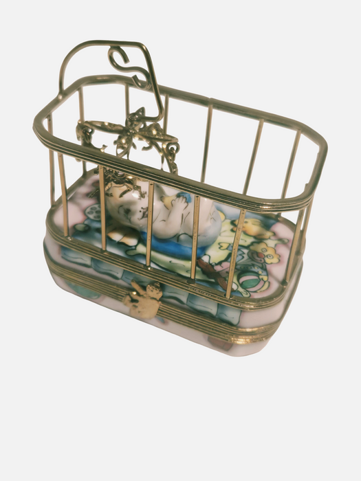 Baby in Playpen Rochard