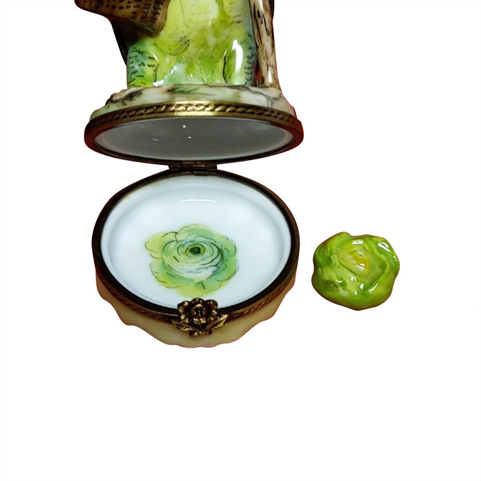 Mr Turtle Shopping w Basket