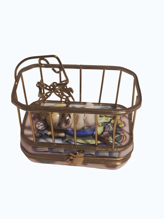 Baby in Playpen Rochard