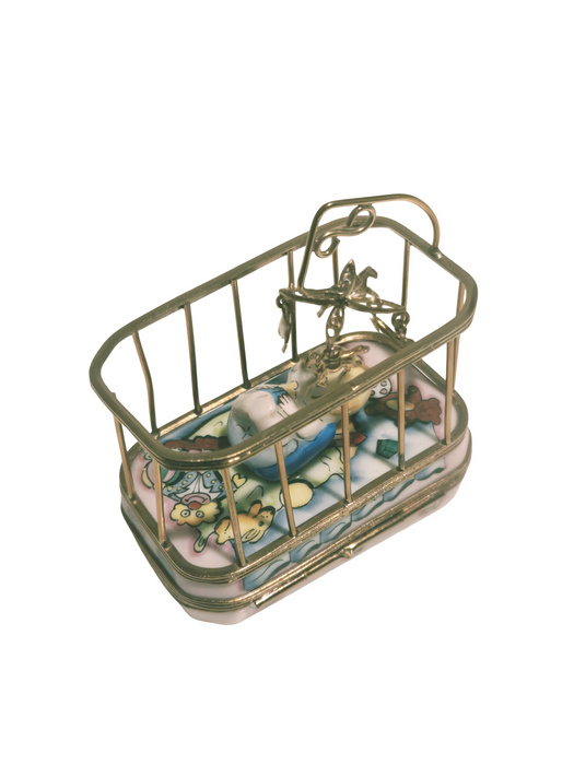 Baby in Playpen Rochard
