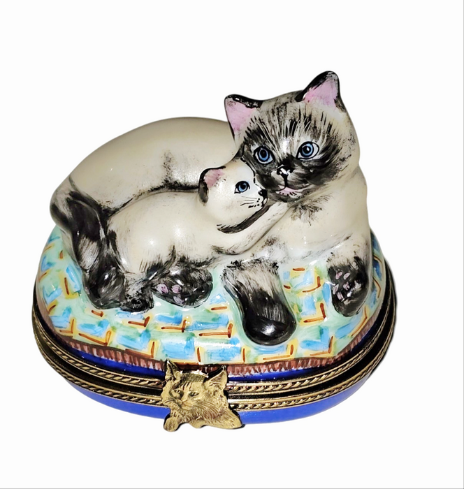 Siamese Cat Treasure for Cat Lovers