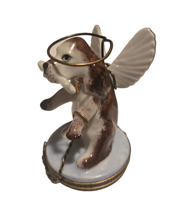 Angelic Dog Box for Pet Lovers