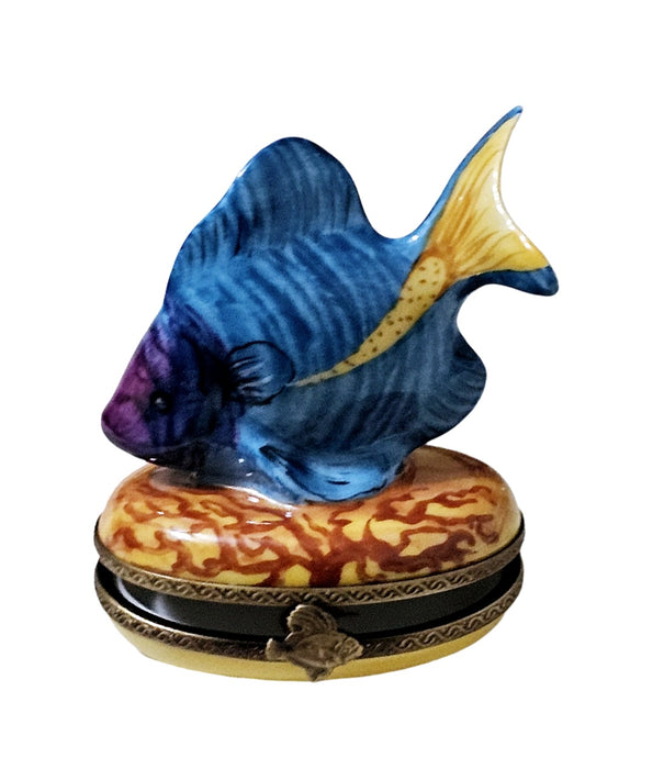 blue and yellow fish in a box Blue Fish Yellow Tail Limoges Box – Authentic French Porcelain