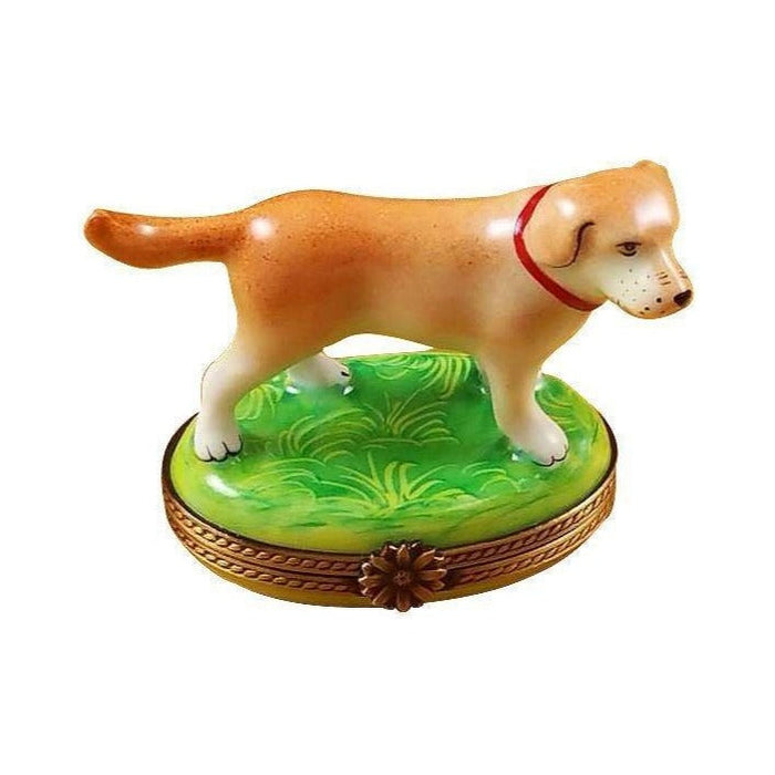 Standing Blond Labrador by Rochard, an authentic French Limoges box from Limoges Boutique
