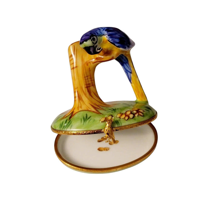 Blue Macaw Limoges Box for Bird Lovers Porcelain Limoges bird birds French Trinket Box