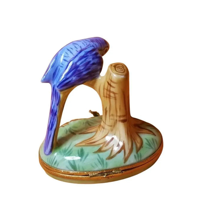Blue Macaw Limoges Box for Bird Lovers Porcelain Limoges bird birds French Trinket Box