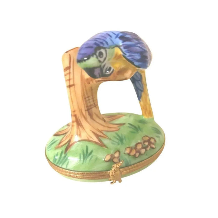 Blue Macaw Limoges Box for Bird Lovers Porcelain Limoges bird birds French Trinket Box