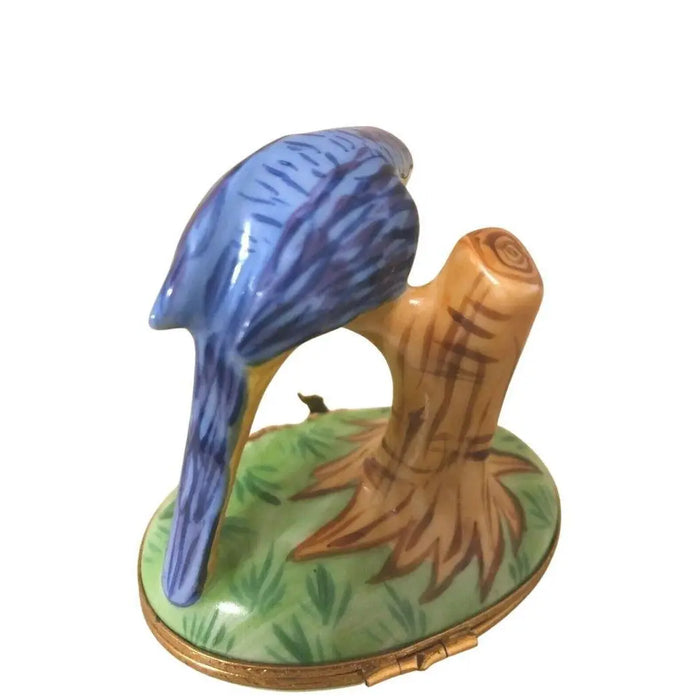 Blue Macaw Limoges Box for Bird Lovers Porcelain Limoges bird birds French Trinket Box