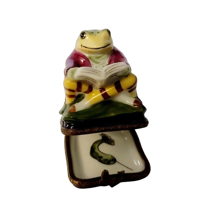 Charming Frog Limoges Box for Collectors Porcelain Limoges turtle frog furniture French Trinket Box