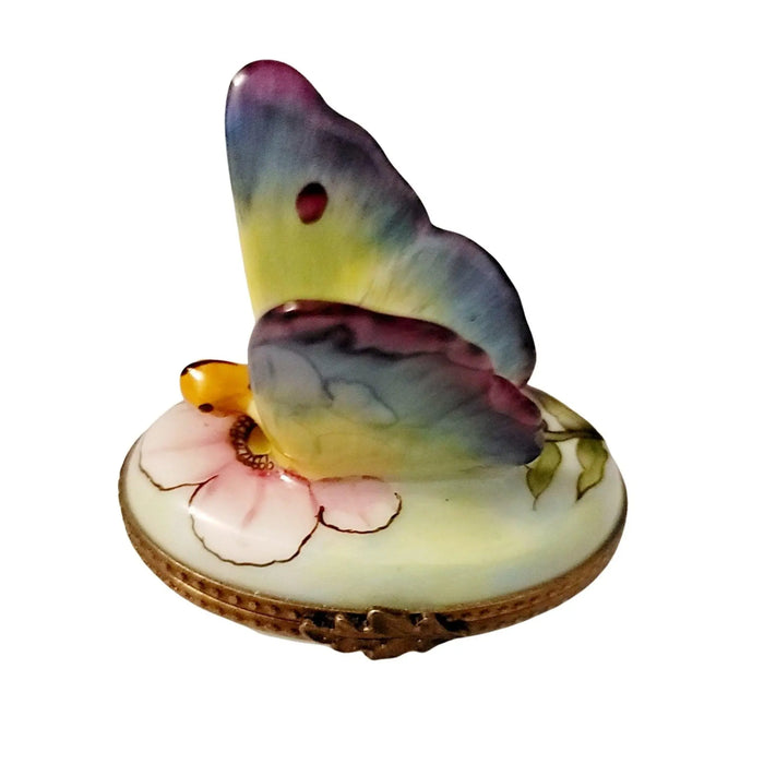 Colorful Butterfly Limoges Box for Nature Lovers Porcelain Limoges Butterfly French Trinket Box