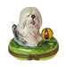 Collectible Dog with Ball Limoges box with artisan brushwork