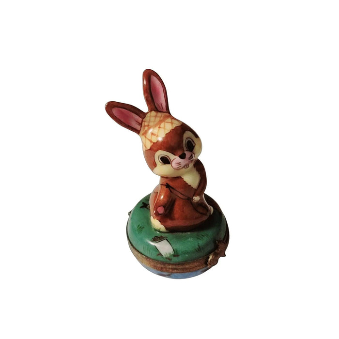 Fishing Bunny Limoges Box for Collectors Porcelain Limoges rabbit mice bunny French Trinket Box