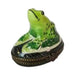 Hand-painted Frog Chirping Limoges box, French artistry for lovers of fine art