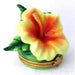 Hibiscus Elegance for Home Décor Porcelain Limoges Beach ocean Travel French Trinket Box