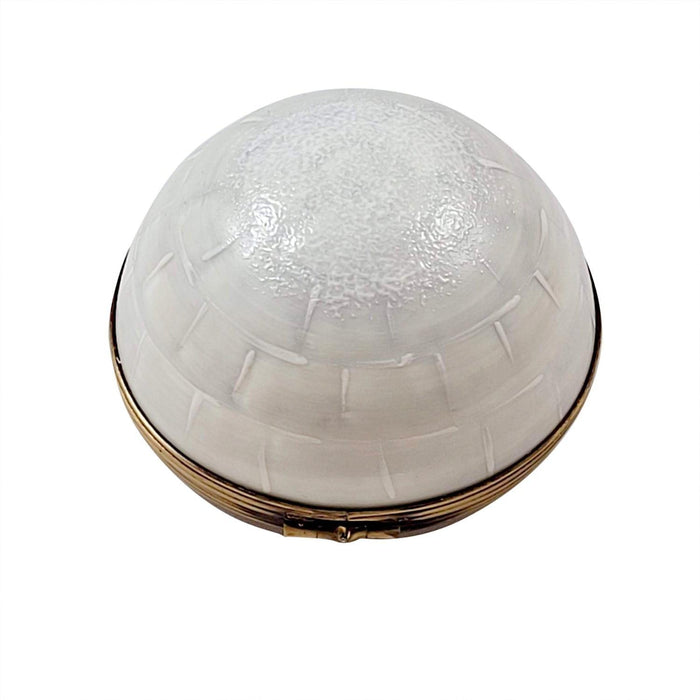 Igloo with Seal Limoges Box for Collectors Porcelain Limoges wild animals winter French Trinket Box