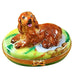 Irish Setter Limoges Box for Dog Lovers Porcelain Limoges dog French Trinket Box
