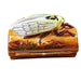 Locust on Log Limoges Box for Elegant Collectors Porcelain Limoges bug French Trinket Box
