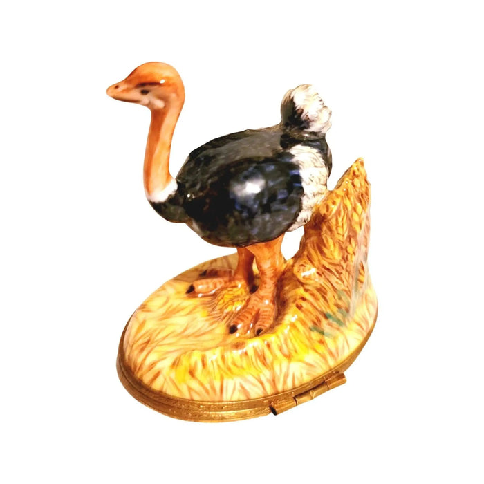 Ostrich Trinket Box for Bird Lovers Porcelain Limoges Limoges Boxes bird wild French Trinket Box