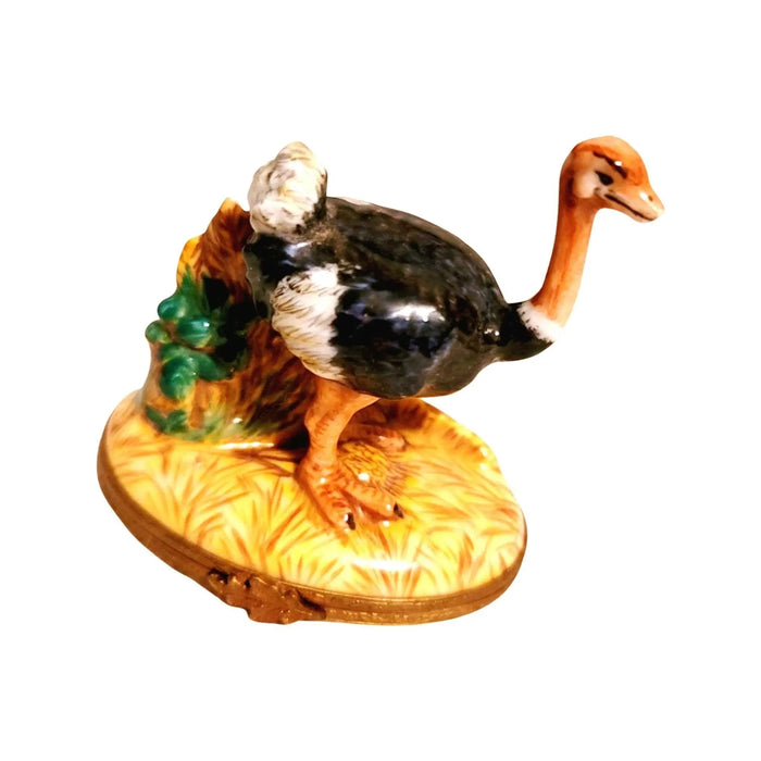 Ostrich Trinket Box for Bird Lovers Porcelain Limoges Limoges Boxes bird wild French Trinket Box