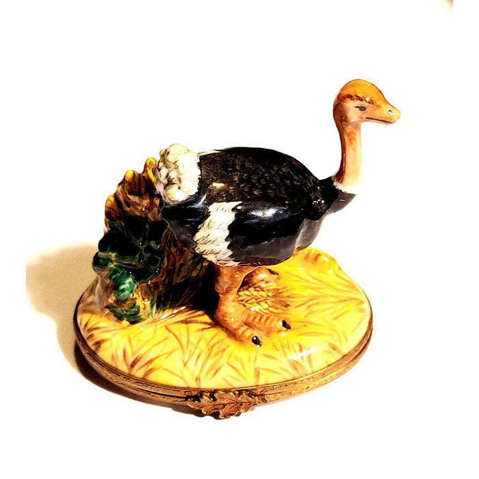 Ostrich Trinket Box for Bird Lovers Porcelain Limoges Limoges Boxes bird wild French Trinket Box