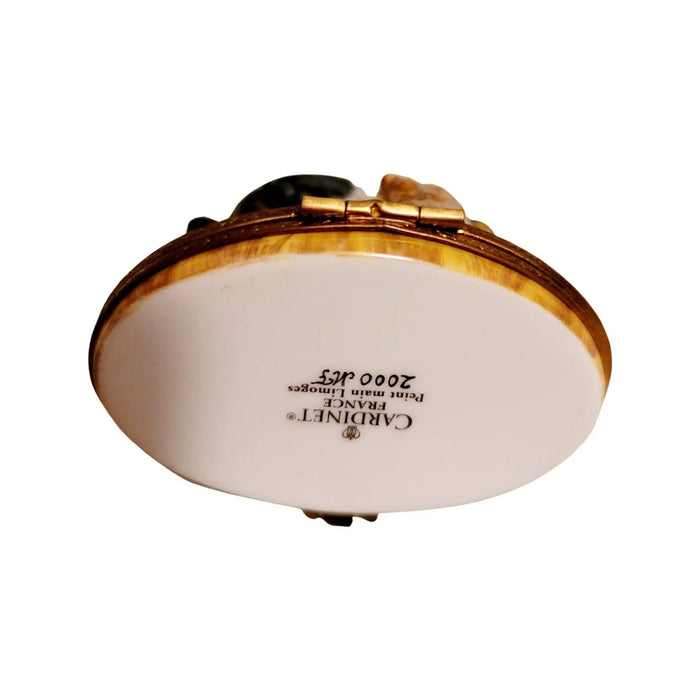 Ostrich Trinket Box for Bird Lovers Porcelain Limoges Limoges Boxes bird wild French Trinket Box