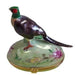 Pheasant Limoges Box for Bird Lovers Porcelain Limoges bird birds French Trinket Box