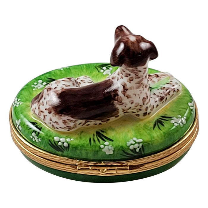 German Short Haired Pointer Limoges Box - Limoges Box Boutique