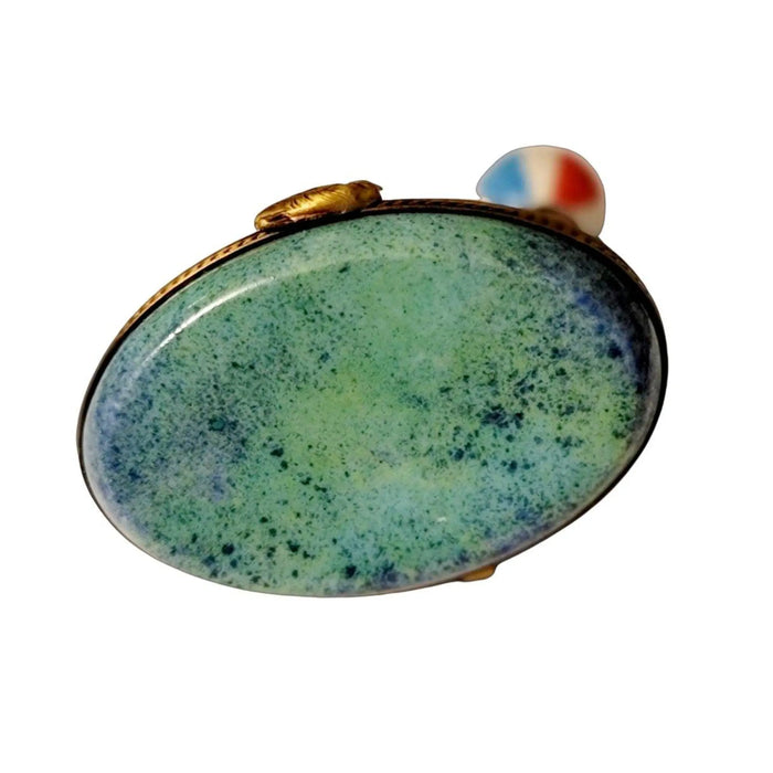 Seal with Beach Ball for Ocean Lovers Porcelain Limoges Limoges Ocean Fish beach Limoges Boxes French Trinket Box