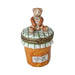 Hand-painted Teddy Bear Apricot Jam Limoges box, French artistry for lovers of fine art