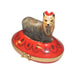 Yorkshire Terrier Box for Dog Lovers Porcelain Limoges dog dogs French Trinket Box