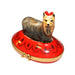 Yorkshire Terrier Box for Dog Lovers Porcelain Limoges dog dogs French Trinket Box