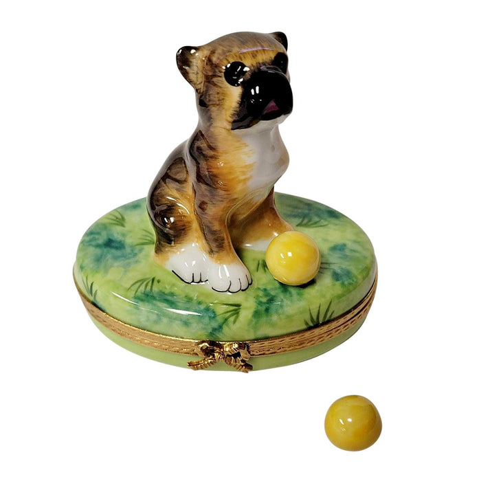 Boxer on Grass with Removable Ball Limoges Box - Limoges Box Boutique
