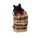 Cat In Berberry Bag with a Ball Of Yarn Limoges Box - Limoges Box Boutique