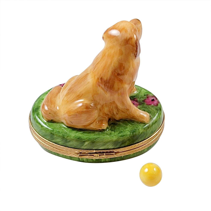 Golden Retriever on Flowers with Removable Ball - Limoges Box Boutique
