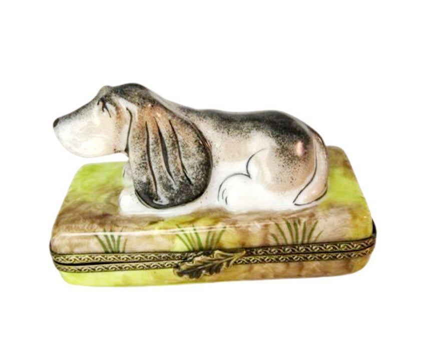 Long Earred Dog Porcelain Limoges Trinket Box - Limoges Box Boutique